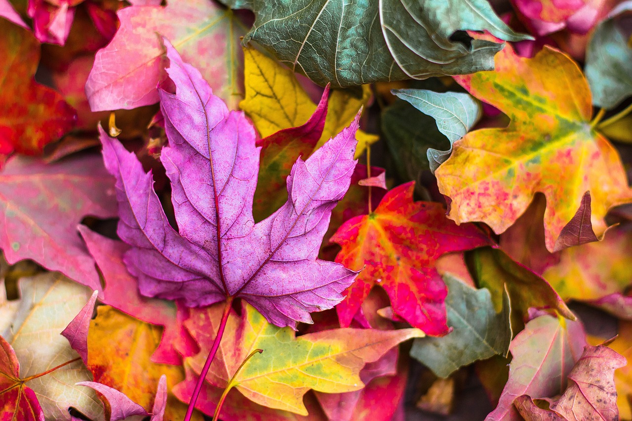 AVVISO-ABBIGLIAMENTO SCOLASTICO PER STAGIONE AUTUNNO/INVERNO