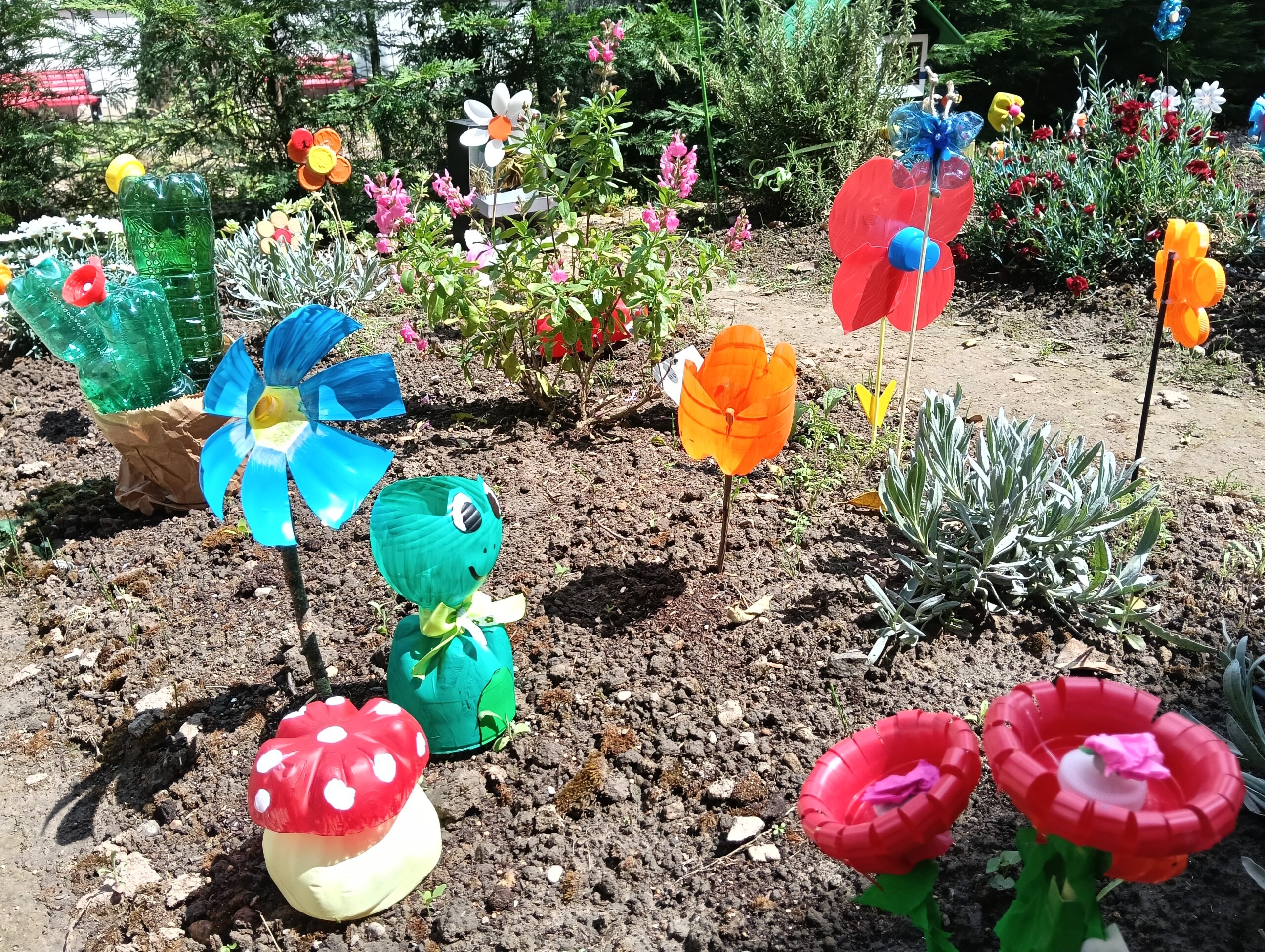 VIDEO-IL GIARDINO PER GLI INSETTI IMPOLLINATORI 2026